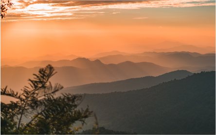 nature landscape